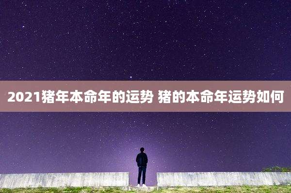 2021猪年本命年的运势 猪的本命年运势如何