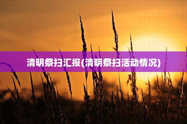 清明祭扫汇报(清明祭扫活动情况)