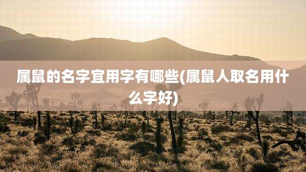 属鼠的名字宜用字有哪些(属鼠人取名用什么字好)
