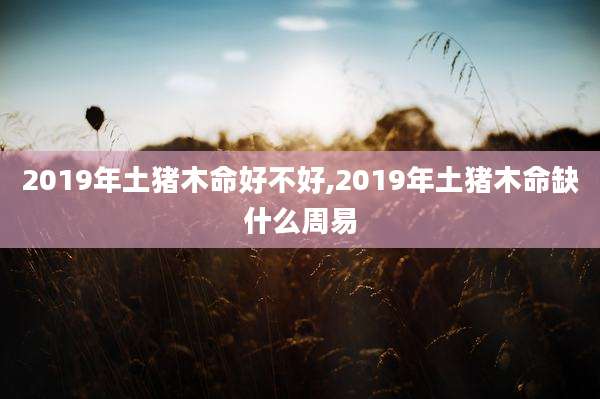 2019年土猪木命好不好,2019年土猪木命缺什么周易