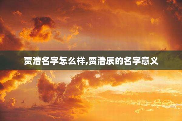 贾浩名字怎么样,贾浩辰的名字意义