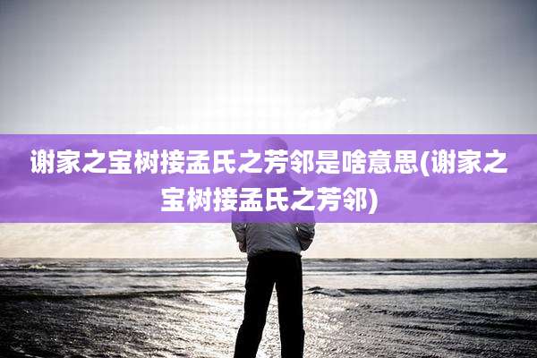 谢家之宝树接孟氏之芳邻是啥意思(谢家之宝树接孟氏之芳邻)