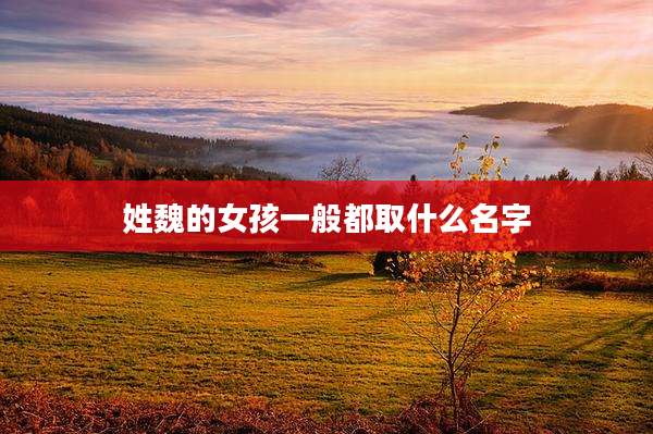 姓魏的女孩一般都取什么名字