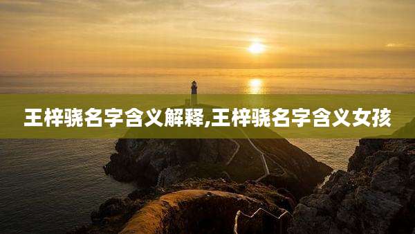 王梓骁名字含义解释,王梓骁名字含义女孩