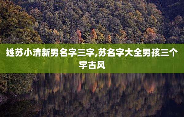 姓苏小清新男名字三字,苏名字大全男孩三个字古风