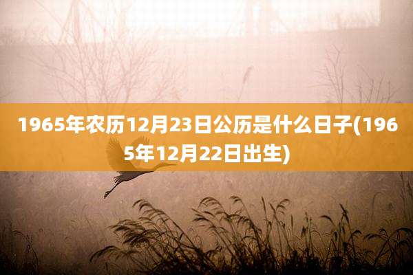 1965年农历12月23日公历是什么日子(1965年12月22日出生)