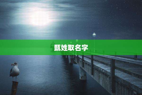 甄姓取名字