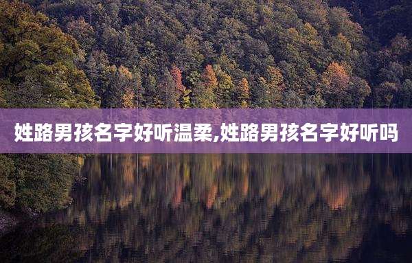 姓路男孩名字好听温柔,姓路男孩名字好听吗