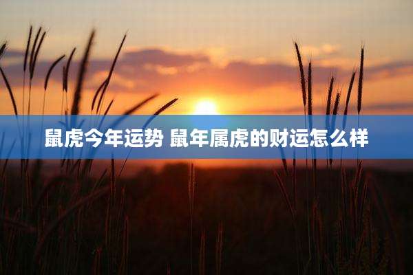 鼠虎今年运势 鼠年属虎的财运怎么样