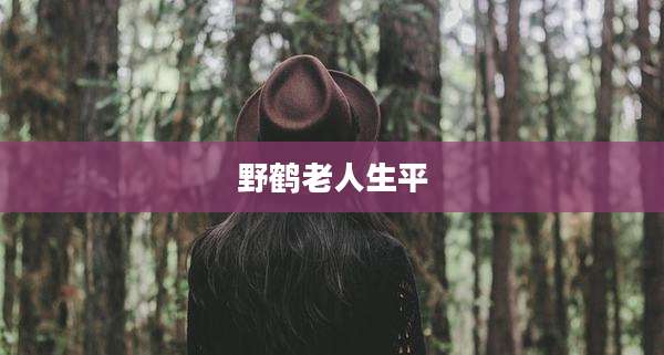 野鹤老人生平