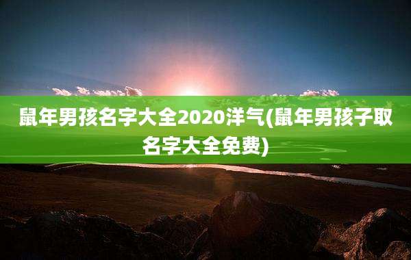 鼠年男孩名字大全2020洋气(鼠年男孩子取名字大全免费)
