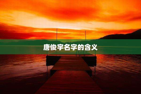 唐俊宇名字的含义