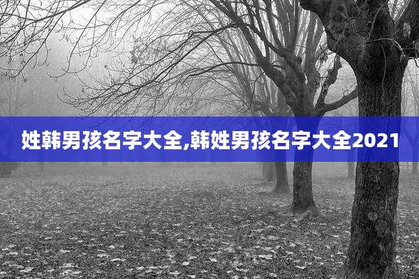 姓韩男孩名字大全,韩姓男孩名字大全2021