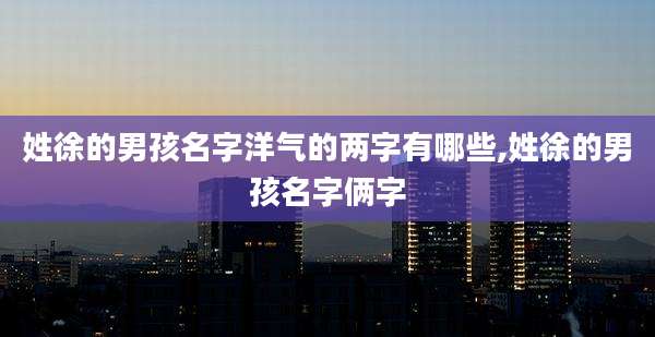 姓徐的男孩名字洋气的两字有哪些,姓徐的男孩名字俩字