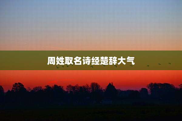 周姓取名诗经楚辞大气