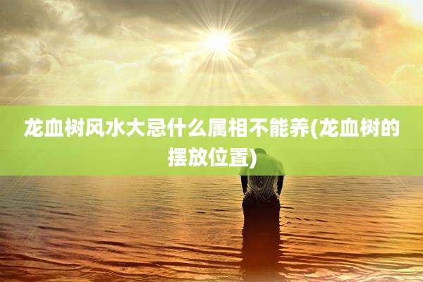 龙血树风水大忌什么属相不能养(龙血树的摆放位置)