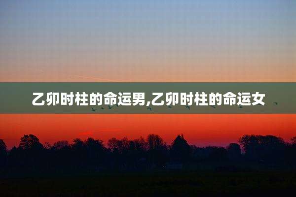 乙卯时柱的命运男,乙卯时柱的命运女