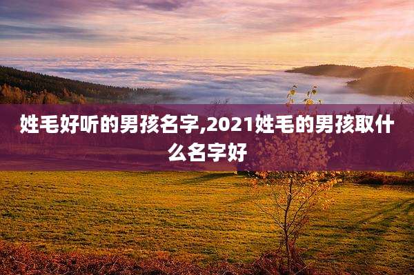 姓毛好听的男孩名字,2021姓毛的男孩取什么名字好