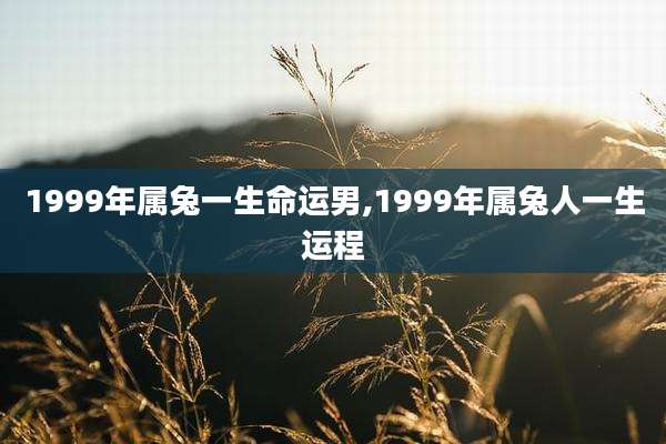 1999年属兔一生命运男,1999年属兔人一生运程