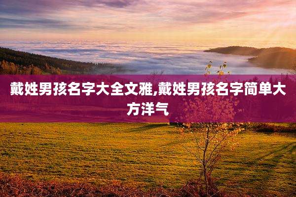 戴姓男孩名字大全文雅,戴姓男孩名字简单大方洋气
