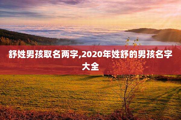 舒姓男孩取名两字,2020年姓舒的男孩名字大全