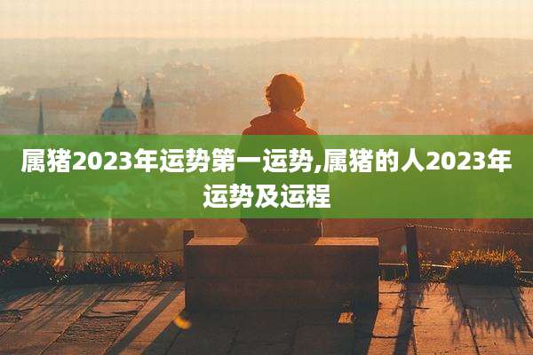 属猪2023年运势第一运势,属猪的人2023年运势及运程