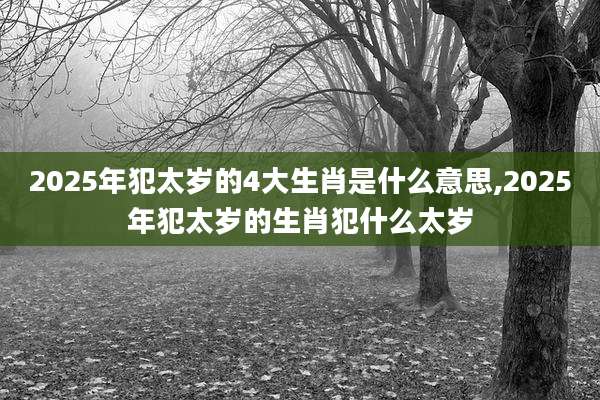 2025年犯太岁的4大生肖是什么意思,2025年犯太岁的生肖犯什么太岁