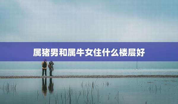 属猪男和属牛女住什么楼层好