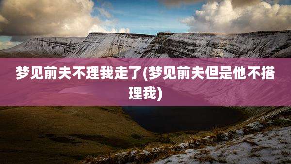 梦见前夫不理我走了(梦见前夫但是他不搭理我)