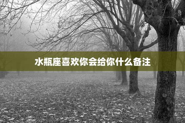 水瓶座喜欢你会给你什么备注