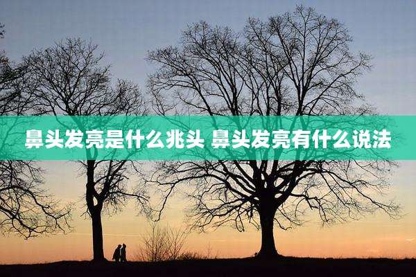 鼻头发亮是什么兆头 鼻头发亮有什么说法