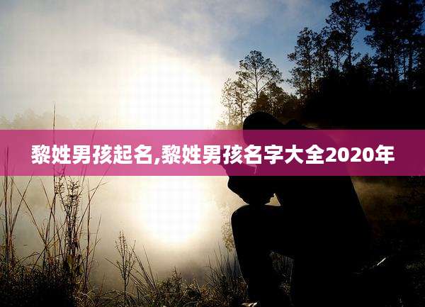 黎姓男孩起名,黎姓男孩名字大全2020年