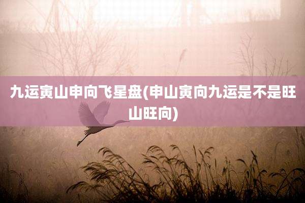 九运寅山申向飞星盘(申山寅向九运是不是旺山旺向)