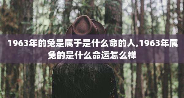1963年的兔是属于是什么命的人,1963年属兔的是什么命运怎么样
