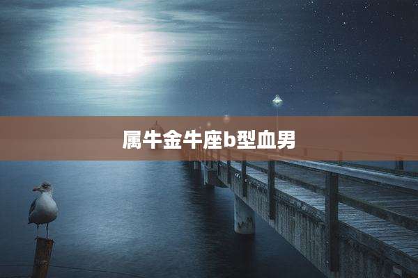 属牛金牛座b型血男
