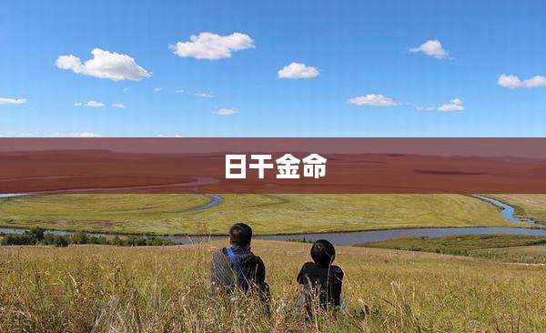 日干金命