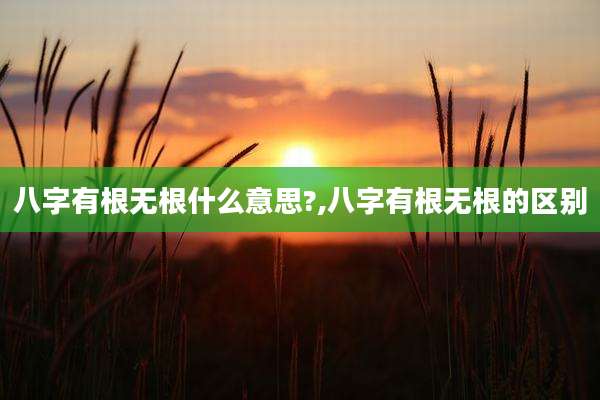 八字有根无根什么意思?,八字有根无根的区别