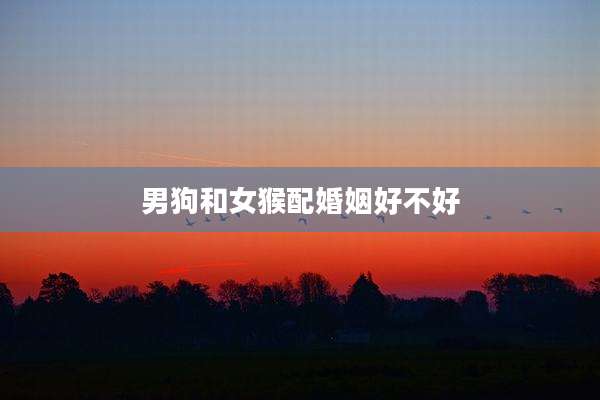 男狗和女猴配婚姻好不好