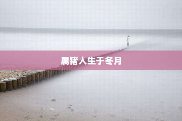 属猪人生于冬月