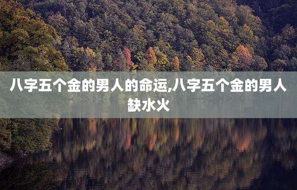 八字五个金的男人的命运,八字五个金的男人缺水火