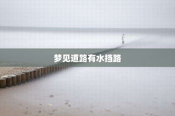 梦见道路有水挡路