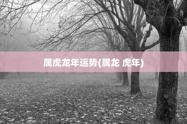 属虎龙年运势(属龙 虎年)