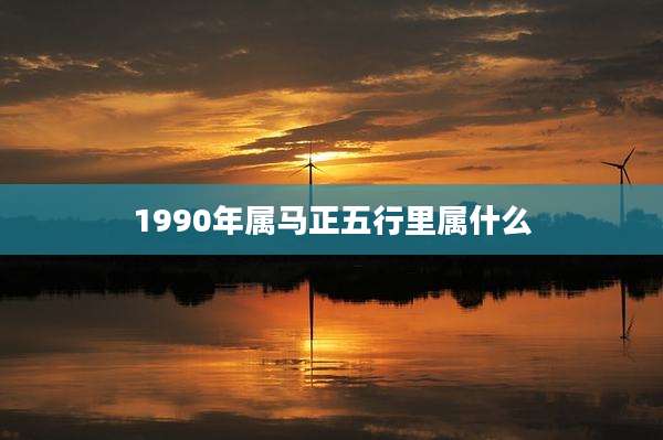 1990年属马正五行里属什么