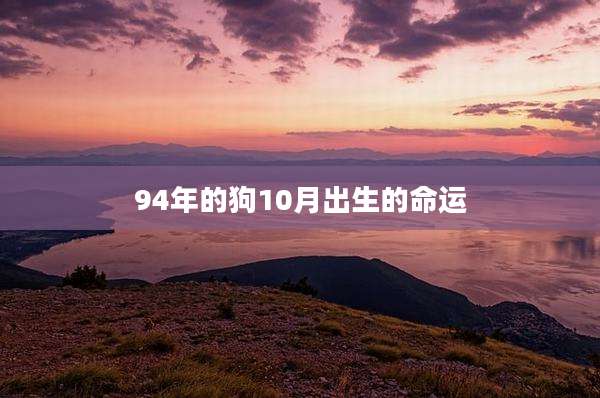 94年的狗10月出生的命运
