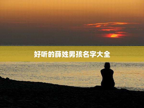 好听的薛姓男孩名字大全