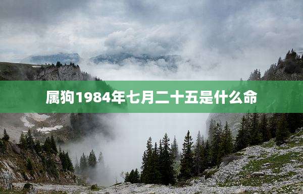属狗1984年七月二十五是什么命