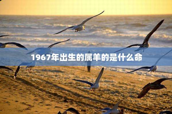 1967年出生的属羊的是什么命