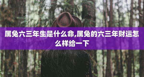 属兔六三年生是什么命,属兔的六三年财运怎么样给一下