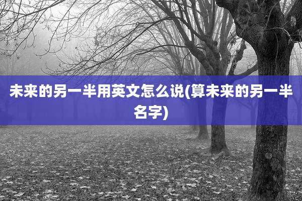 未来的另一半用英文怎么说(算未来的另一半名字)
