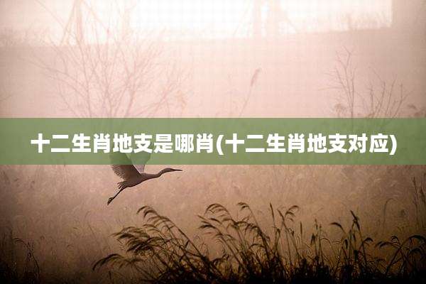 十二生肖地支是哪肖(十二生肖地支对应)